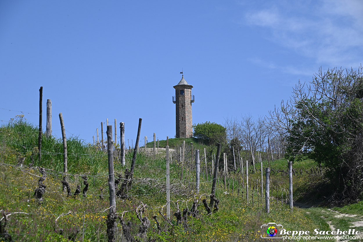 VBS_0973 - Torre dei Contini - Canelli (AT).jpg